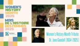 Women's History Month